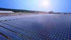 中美硅晶与2468BET光电携手战略合作